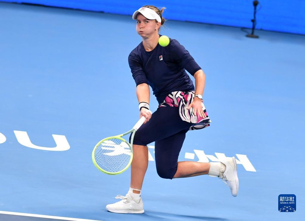 欧元的投入 欧元的投入